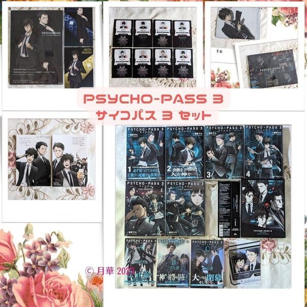 PSYCHO-PASS サイコパス 3 OFFICIAL PROFILING ノイタミナ特典カード クリアファイル ID風カード