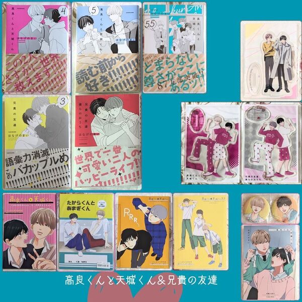 小冊子 アクスタ CD特典付 初版 高良くんと天城くん 4 5 5.5 兄貴の友達 3 僕らのおうち はなげのまい 缶バッジ