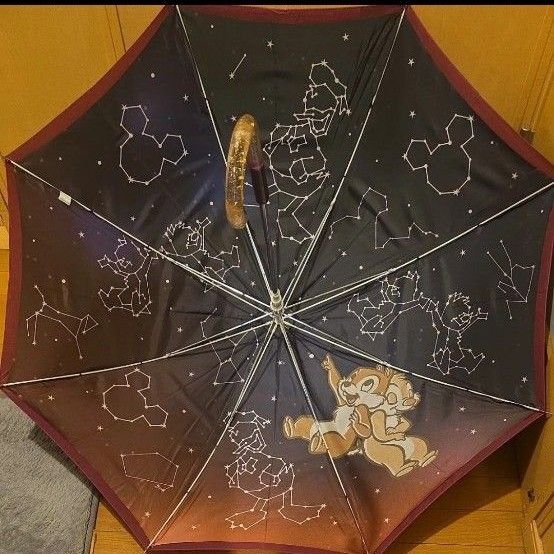 チップとデール 星座柄 晴雨兼用傘 ディズニーストア