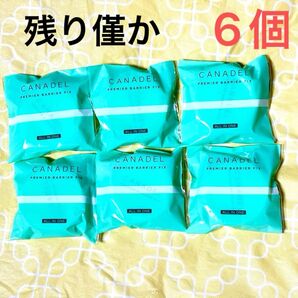 CANADEL カナデル 薬用プレミアバリアフィックス 〈美容液ジェル〉ミニ10g×6個