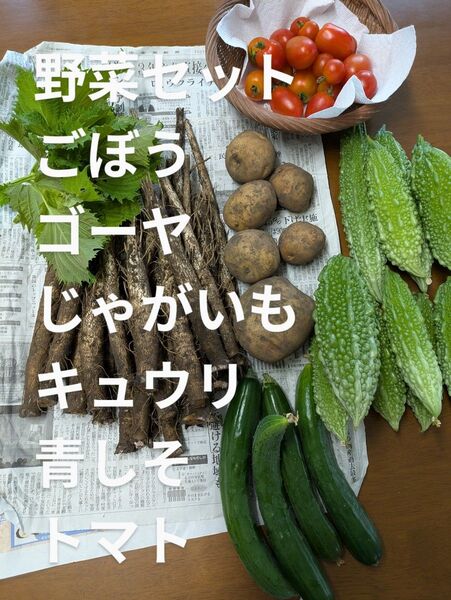 野菜セット 約4.5㌔ごぼう ゴーヤ じゃがいも きゅうり トマト 青しそ農薬不使用