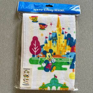 TDR 東京ディズニーリゾート フェイスタオル ミッキー ミニー