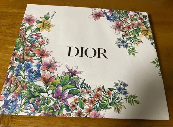 ディオール DIOR ショ袋 ショップ袋 紙袋 ギフト 袋 ショッパー
