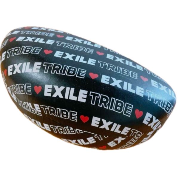 EXILE関連 グッズ色々