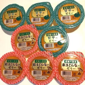 えひめ中央農業協同組合 愛媛県ブランド柑橘【紅まどんな】【甘平】8個セット