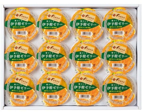 えひめ中央農協 愛媛県産柑橘 【寒づくり伊予柑】155g×12個 ご贈答用の箱に入れてお届け。