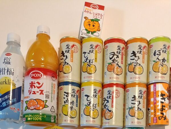 愛媛 無添加 柑橘ジュース