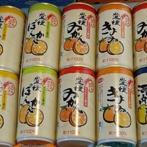 愛媛 無添加 柑橘ジュース 10本セット
