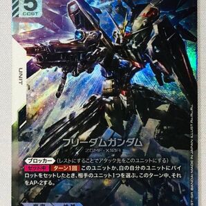 ガンダム フリーダムガンダム LR Newtype Rising スリーブ保管