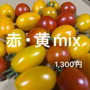 ミニトマト