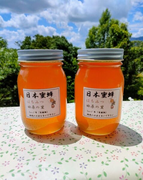 実容量600g×2瓶 日本ミツバチの蜂蜜