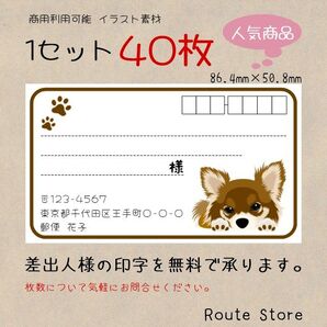 宛名シール 差出人シール かわいい チワワ 茶系 わんちゃん ワンコ 犬 肉球