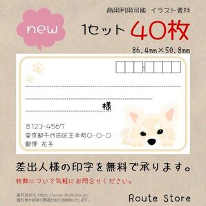 宛名シール 差出人シール チワワ 白系 ラベルシール わんちゃん ワンコ 犬