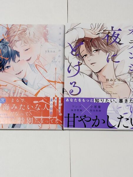 オランジェットは夜にとける玖みどり大洋にひかれてykna.