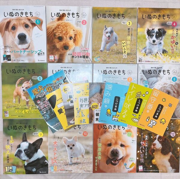 初めての飼い主さんのいぬのきもち 2024.4〜2025.3 12冊+別冊8冊 いぬのきもち