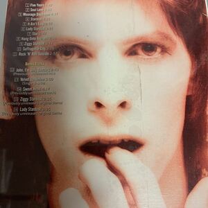 Дэвид Боуи / Неокрытая доска Ryco Ziggy Stardust