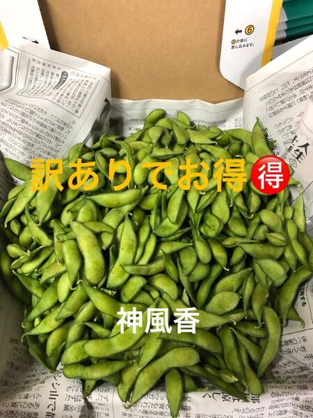 明日朝収穫!発送!茶豆風味の枝豆