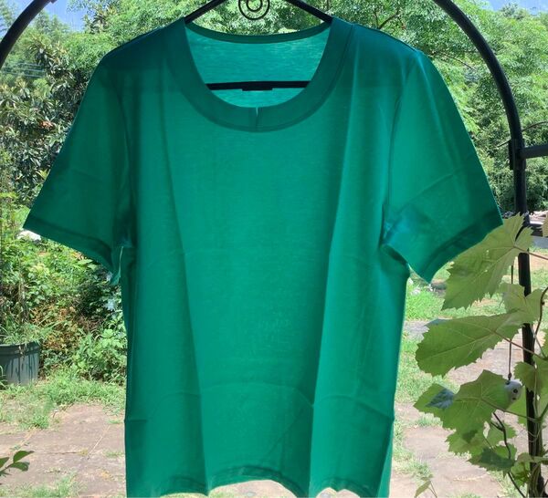 高級ブランドシャルレ グリーン Tシャツ綿100% サイズL 未使用に近い