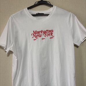 ZARA 半袖Tシャツ Lサイズ