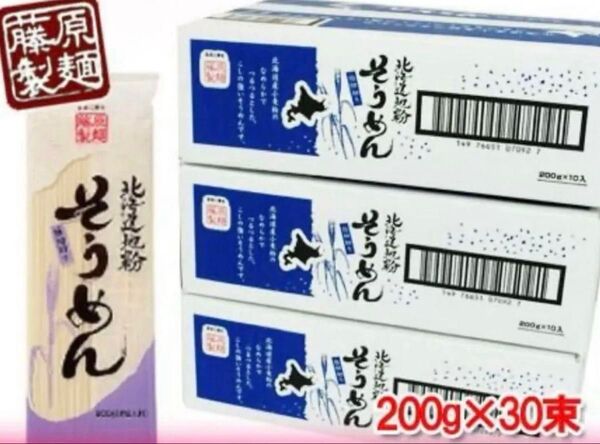 乾麺そうめん合計30袋〜24時間以内発送〜