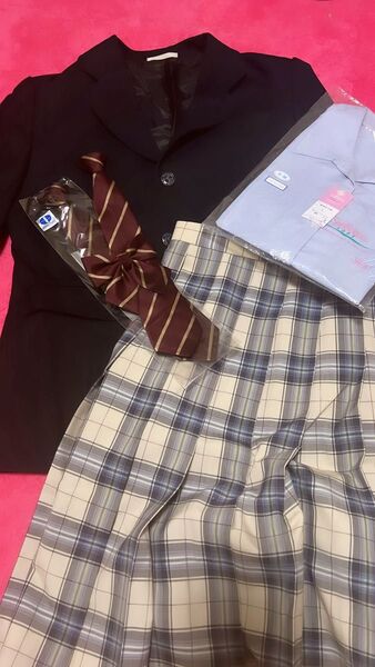 ブラウス 女子制服 スカート リボン ジャケット ベスト セーター ネクタイ シャツ