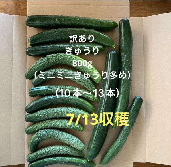 訳ありきゅうり800g (10本〜13本)秋田県産 ネコポス発送