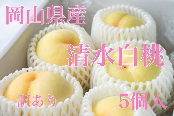 清水白桃 岡山県産 5玉入り 約1キロ ご家庭用