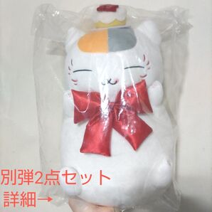 【にゃんこ先生】セット