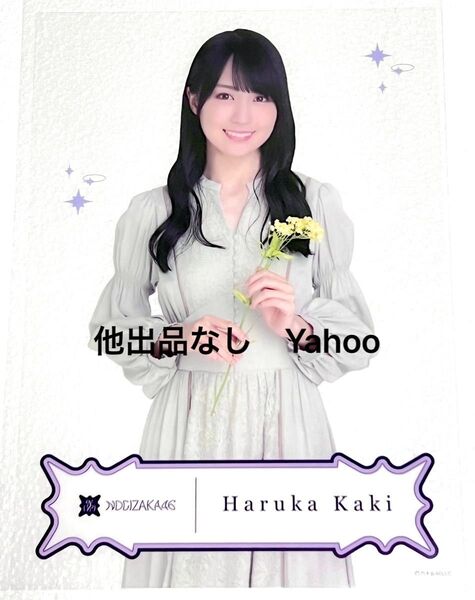クリアポスター ランダム福袋 賀喜遥香 レア 乃木坂46 2024 公式グッズ same numbers