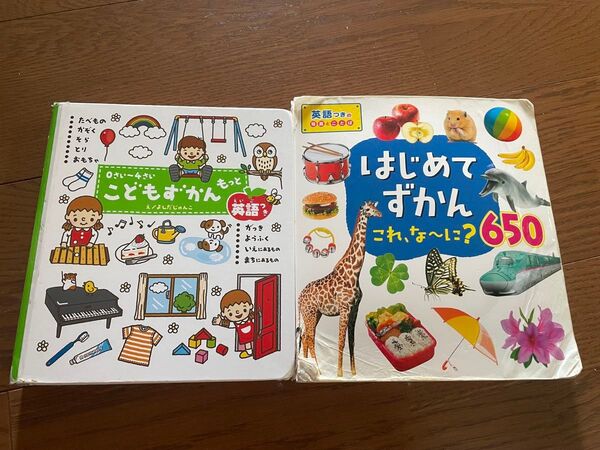 こどもずかん もっと はじめてずかん 2冊セット