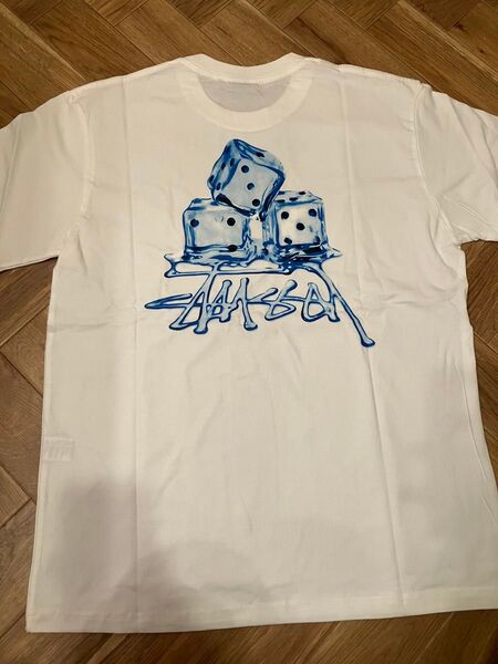 STUSSY 半袖Tシャツ Lサイズ 白 人気 早い者勝ち