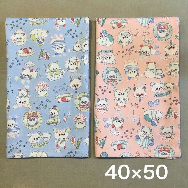ランチョンマット 40×50 小学校 2枚セット