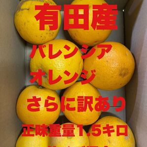 有田産 バレンシアオレンジ さらに訳あり 正味重量1.5キロ サイズ混合