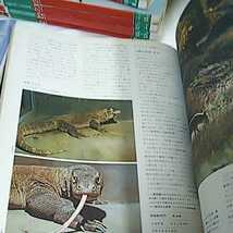 計24冊 動物の世界 アニマルライフ デラックス 大自然に息づく生命の記録 学習 自然虫 生き物全般 図鑑_画像7