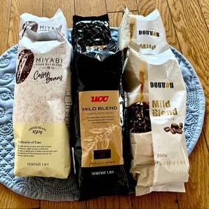 コーヒー豆 1.5kg