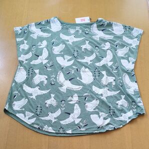 グラニフ Tシャツ