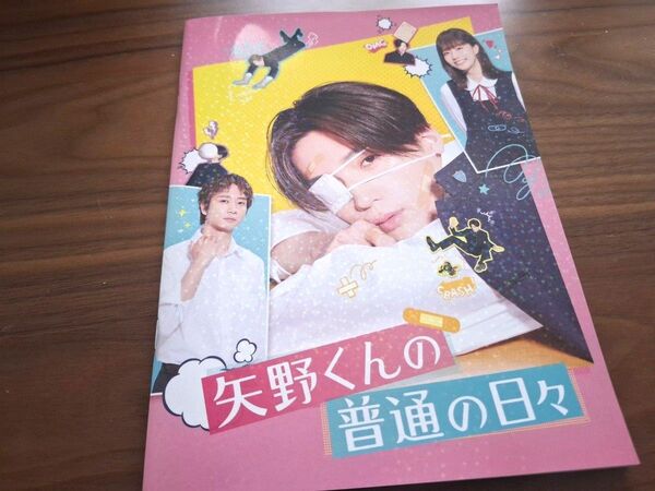映画 矢野くんの普通の日々 パンフレット 八木勇征