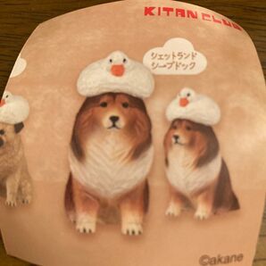 あかねの木彫りアヒルと犬シープドッグ