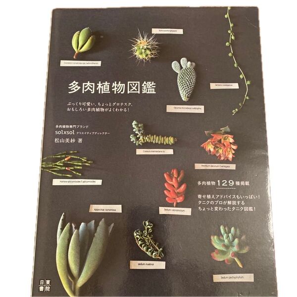 多肉植物図鑑 日東書院 solxsol 松山美紗