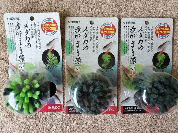 メダカ用 産卵床 スドー メダカの産卵まり藻 小 マツモ×1 カボンバ×2 3コセット♪