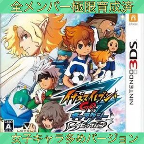 【全メンバー極限育成済】イナズマイレブンGO ギャラクシービックバン