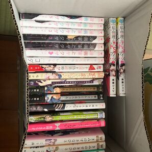 漫画家とヤクザなど TLマンガ BLマンガ 19冊 定価13,000円以上