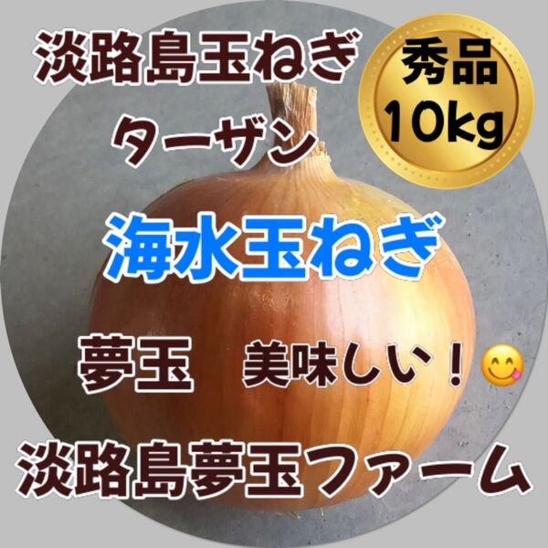 淡路島玉ねぎ 海水完熟玉ねぎ 秀品 10kg ターザン 高糖度 減農薬 夢玉 南あわじ タマネギ たまねぎ