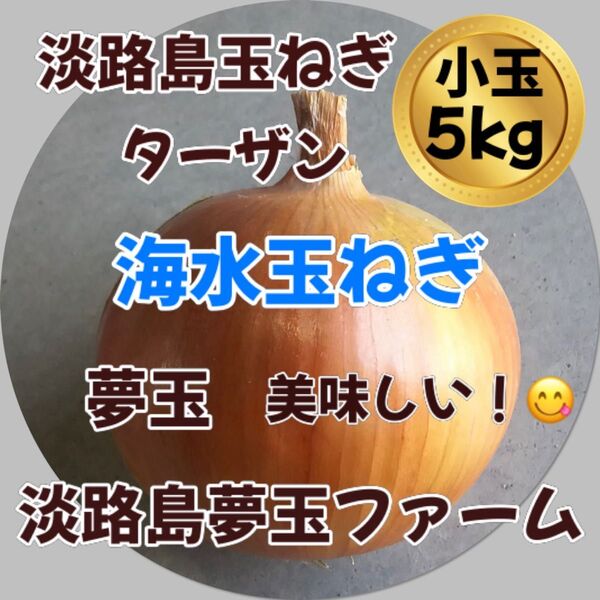 感謝セール!淡路島産新玉ねぎ 小玉 秀品3kg 貴錦 固定種 極早生 希少 夢玉