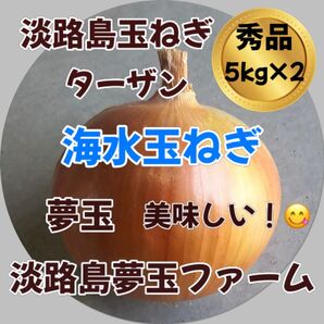 淡路島玉ねぎ 海水完熟玉ねぎ 秀品 5kg×2 ターザン 高糖度 減農薬 夢玉 南あわじ タマネギ たまねぎ