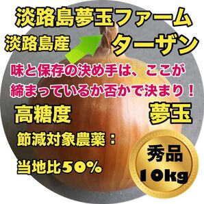 淡路島玉ねぎ 完熟玉ねぎ 秀品 10kg ターザン 高糖度 減農薬 夢玉 南あわじ タマネギ たまねぎ