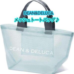 DEAN&DELUCAメッシュバッグ ミニトートバッグ スカイブルー 水色 S プールバッグ お散歩バッグ