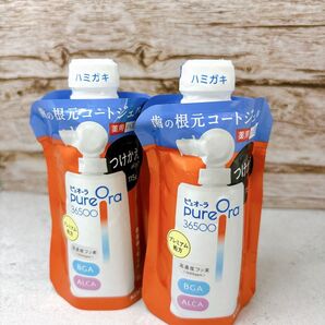 ピュオーラ 36500 薬用 歯の根元コートジェルハミガキ つけかえ用 2個