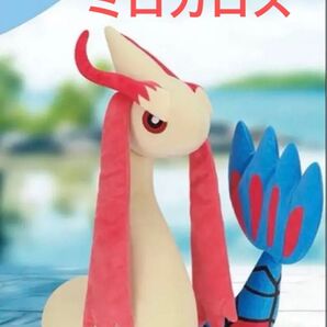 【新品未使用タグ付き】 ポケットモンスター もふぐっとぬいぐるみ ミロカロス