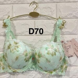 【超お買い得】トリンプ プレミアム フロラーレ FL609 グリーン D70